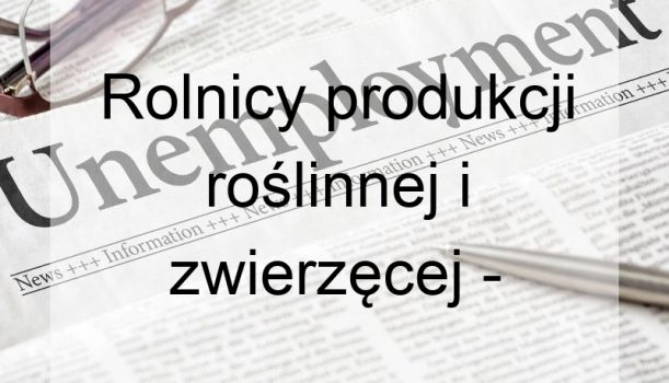 Rolnicy produkcji roślinnej i zwierzęcej – bezrobocie