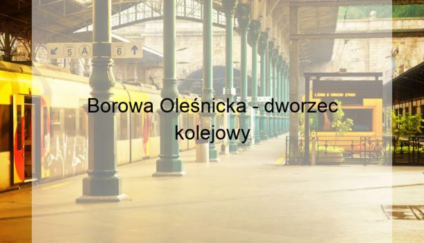 Borowa Oleśnicka – dworzec kolejowy