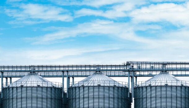 Innowacyjne systemy ważenia – jak nowoczesne wagi wspierają polski przemysł?